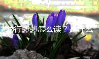 龙行龘龘怎么读？是什么意思？2024年总台春晚官宣