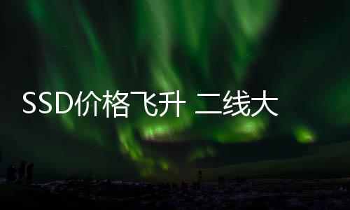 大厂都翻二线赚2扭盈爆亿D价格飞9个亏为升 身了
